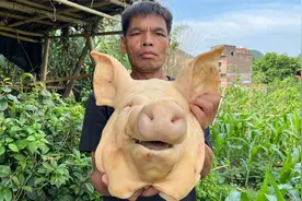 乡村美食第七期，一个猪头做出十三道菜，120块花得太值了