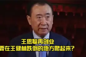 王思聪再创业，要在王健林跌倒的地方爬起来？视频封面