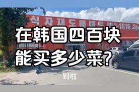 看看韩国的物价，四百块钱能买到多少菜？视频封面
