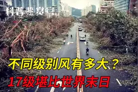 17级台风有多恐怖？场面堪比“世界末日”，不同级别风力有多大？