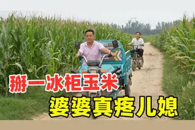 这山东婆婆真疼儿媳妇，掰了一冰柜玉米，公公一顿指责，败家娘们视频封面