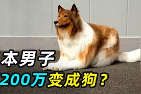 日本男子厌倦做人，砸200万变成“狗”，网友：狗看了都害怕视频封面
