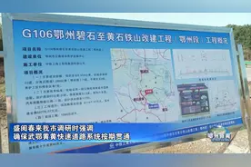 确保武鄂黄黄快速道路系统按期贯通视频封面