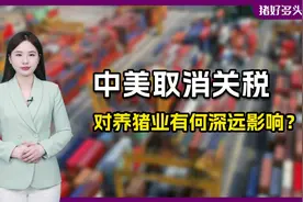 重磅！中美各取消91%加征关税，饲料却又涨价了？视频封面