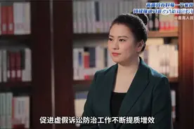 蓝向东-11个月受案26万余件背后的监督新格局-视频封面