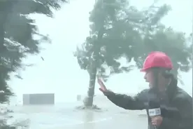 直击“苏拉”登陆珠海：狂风呼啸树狂摇 系今年登陆广东最强台风