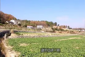 2025宅基地新规发布！这些变化，或将影响千万农户视频封面