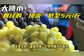 大跳水！曾经的“顶流”阳光玫瑰葡萄最低至5元/斤视频封面
