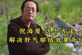 倪海厦：这个方法解决肝气郁结效果奇佳视频封面