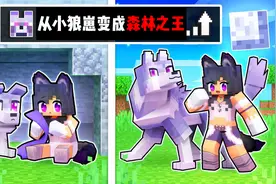 我的世界：小米蕉从一只弱小的冰原狼成为一只强大的森林之王！