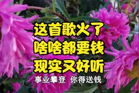 八月十五，这首歌彻底的火了，满大街都在播放，现实又好听！