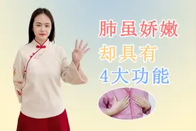 人体这个被称为“娇脏”的脏腑，它的生理功能有哪些呢？一文读懂