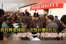 农村养老保险一次性补缴9万元，60岁后，一个月能领多少？