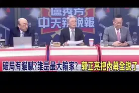 郭正亮爆蓝白合破产内幕，君悦酒店会面到底发生了什么视频封面