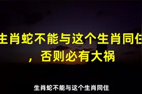 生肖蛇不能与这个生肖同住，否则必有大祸视频封面