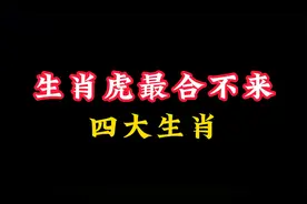 生肖虎：最合不来的四大生肖，与之格格不入，尽量远离视频封面