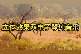 11首台湾镭射立体效果双电子琴纯音乐，最经典好听的歌曲收藏吧视频封面