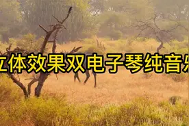 11首台湾镭射立体效果双电子琴纯音乐，最经典好听的歌曲收藏吧视频封面