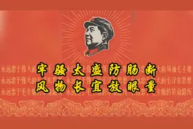 牢骚太盛防肠断，风物长宜放眼量！视频封面