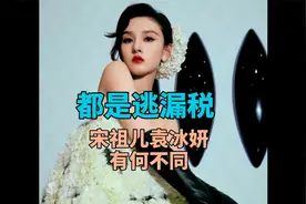 同样都是偷漏税！宋祖儿为何与袁冰妍大不同视频封面