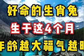 好命的生肖兔，生于这四个月，年龄越大福气越旺视频封面