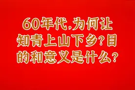 60年代，为何让知青上山下乡？目的和意义是什么？