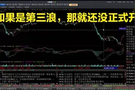 大智慧 - [白马蓝筹] 2025-01-14 15-06-43视频封面