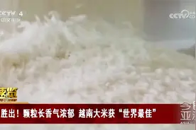 胜出！颗粒长香气浓郁 越南大米获“世界最佳”视频封面
