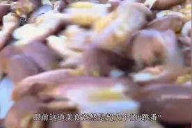 在沙滩上赶海，捕捉极品美味沙跳虾，这数量也太多了！视频封面