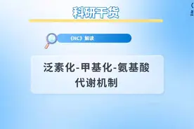 泛素化-甲基化-氨基酸代谢机制视频封面