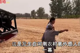 善良女孩不顾一身疲惫，开收割机帮老人收麦，结局意外感人视频封面