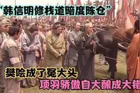 韩信明修栈道暗度陈仓，项羽不听范增之言连后宫嫔妃都被刘邦霸占视频封面