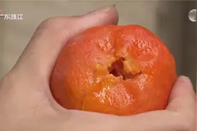 橘子不语只是一味地冒烟？小心肺部真菌感染！视频封面