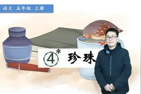 五年级上册语文《4.珍珠鸟》，重新学习课文，打好语文学习基础