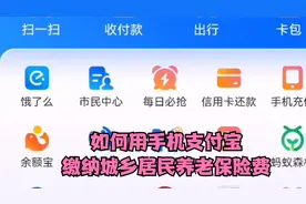 如何用利用支付宝在手机上缴纳城乡居民养老保险费？视频实操分享视频封面
