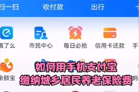 如何用利用支付宝在手机上缴纳城乡居民养老保险费？视频实操分享视频封面