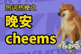 晚安cheems是什么梗？cheems小狗，这次就好好休息一下吧