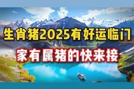 生肖猪2025年有好运临门，家里有属猪的快来接走好运！