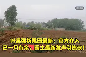 叶县强拆果园最新：官方介入已一月有余，园主最新发声引热议！视频封面