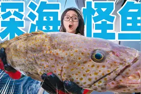 花20000元包一艘船，在马来西亚海钓一天能挣多少钱？视频封面