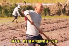 新农保每年交3000元，交满15年后每月能领多少养老金？到底划算不视频封面