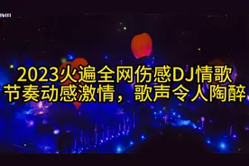 2023火遍全网伤感DJ情歌，节奏动感激情，歌声令人陶醉