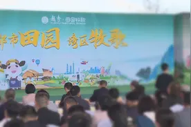 新春走基层丨广东首个国家级田园综合体开园  感受乡村田园的快乐视频封面