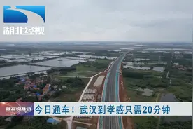 今日通车！武汉到孝感只需20分钟