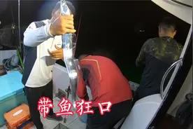 带鱼狂口是一种什么体验？还没有天亮钓友就钓爆箱了，太好钓了