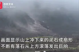 云南镇雄突发山体滑坡 村民：落石从山坡上滚下如同打雷