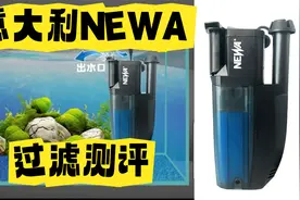 意大利NEWA过滤测评，鱼缸/龟缸静音过滤的三种用法！还能除油膜视频封面