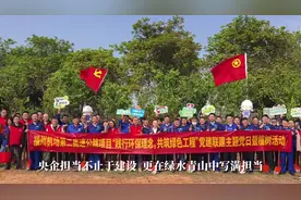 中交“蓝马甲”种下春天，守护绿水青山！（来源：总承包分公司）视频封面