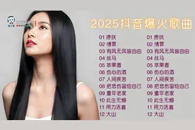 2025抖音一夜爆火播放过亿歌曲精选