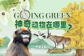 神奇动植物和你有一场特别“见面会”视频封面